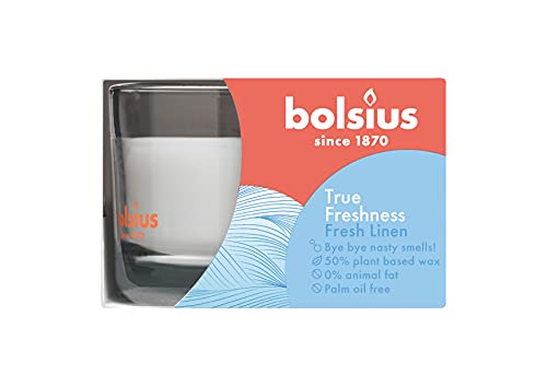 bolsius-true-scents-duftkerze-morgenfrische-6er-vegan image 6