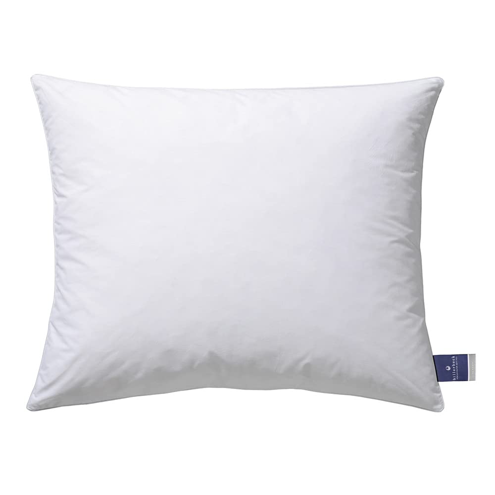 billerbeck-almira-kopfkissen-80x80-cm-daune-feder-fest image 8