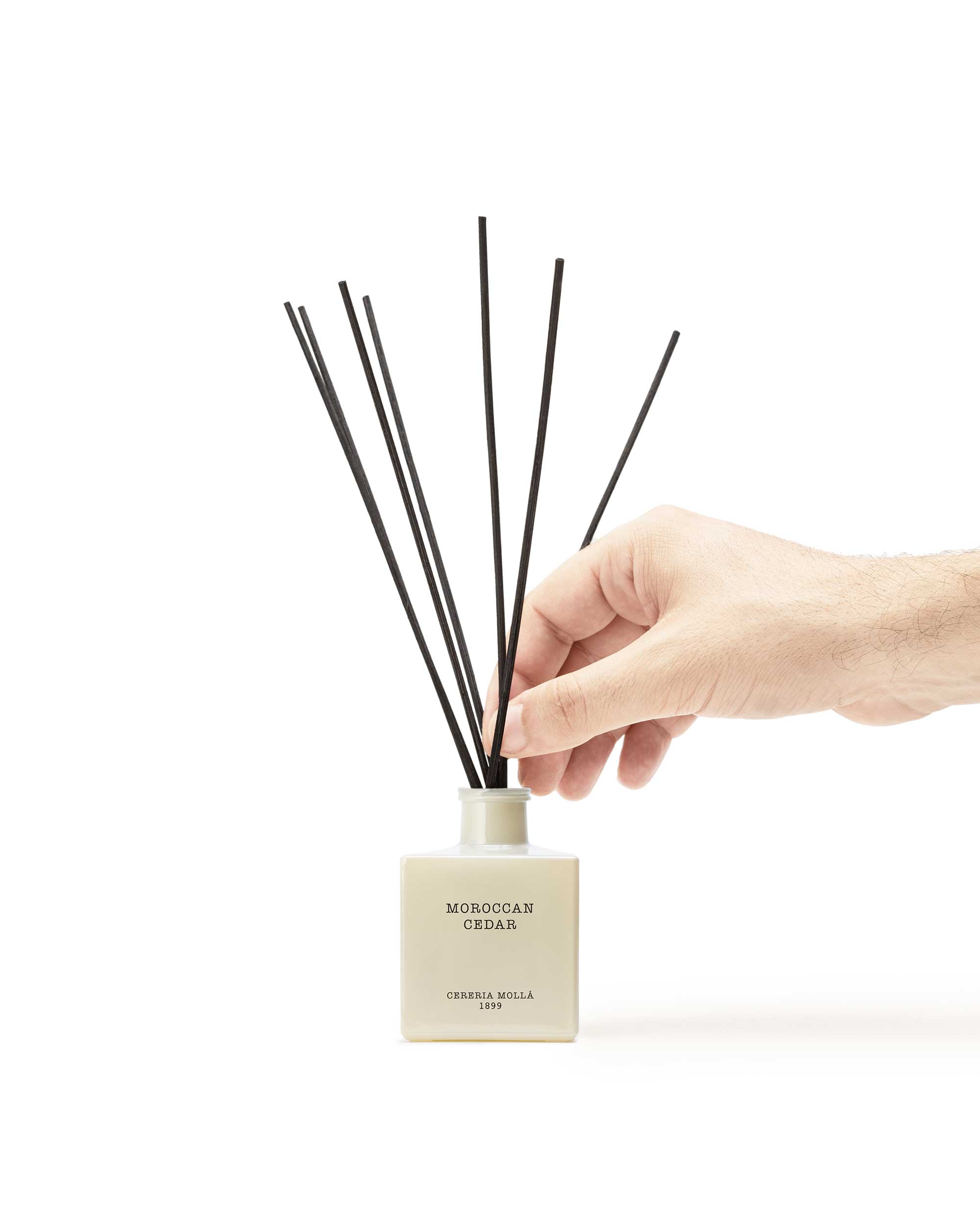 cereria-moll-moroccan-cedar-diffuser-100-ml-zedernholz image 5