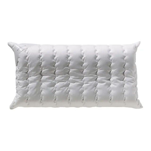 billerbeck-s20-visco-nackenst-tzkissen-40x80-aloe-vera image 1