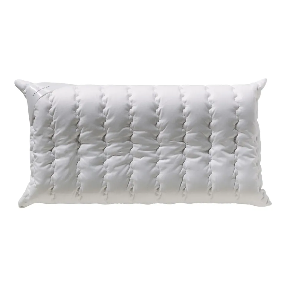 billerbeck-s20-visco-nackenst-tzkissen-40x80-aloe-vera image 1
