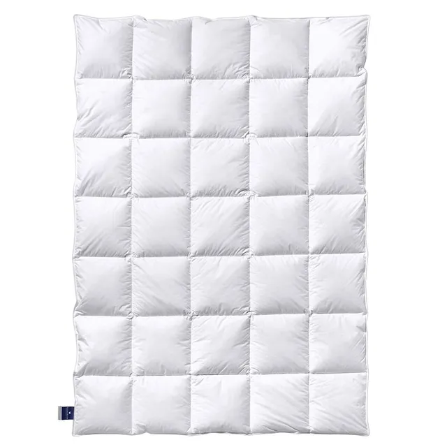 billerbeck-almira-daunendecke-155x200-cm-g-nsedaunen-mittel image 1