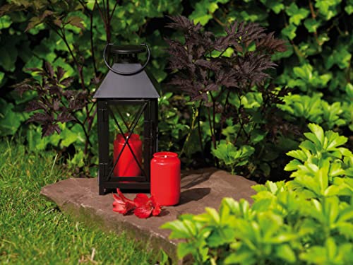 bolsius-grablichte-nr-7-rot-85-stunden-24er-pack image 8