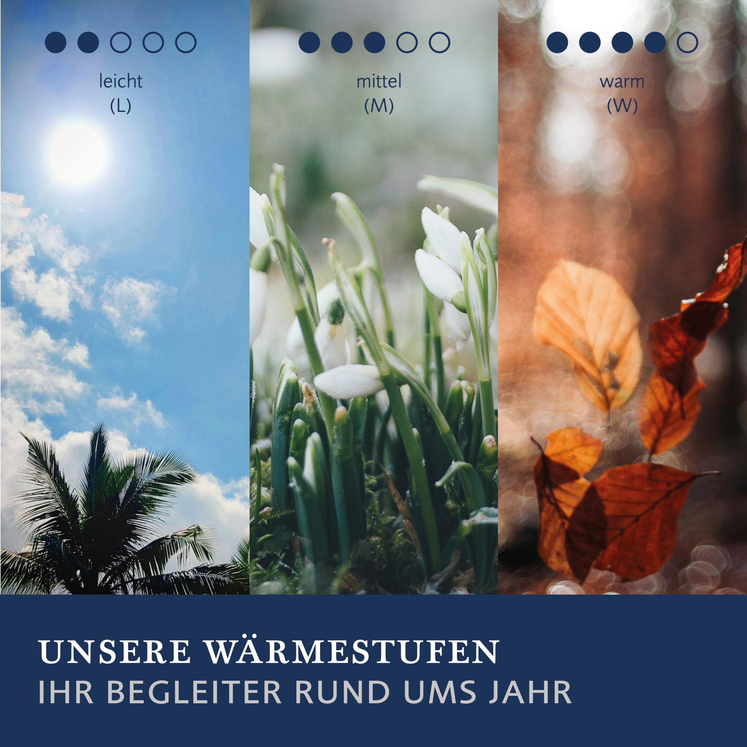 billerbeck-almira-bettdecke-200x200-cm-warm-winter-g-nsedaune image 5