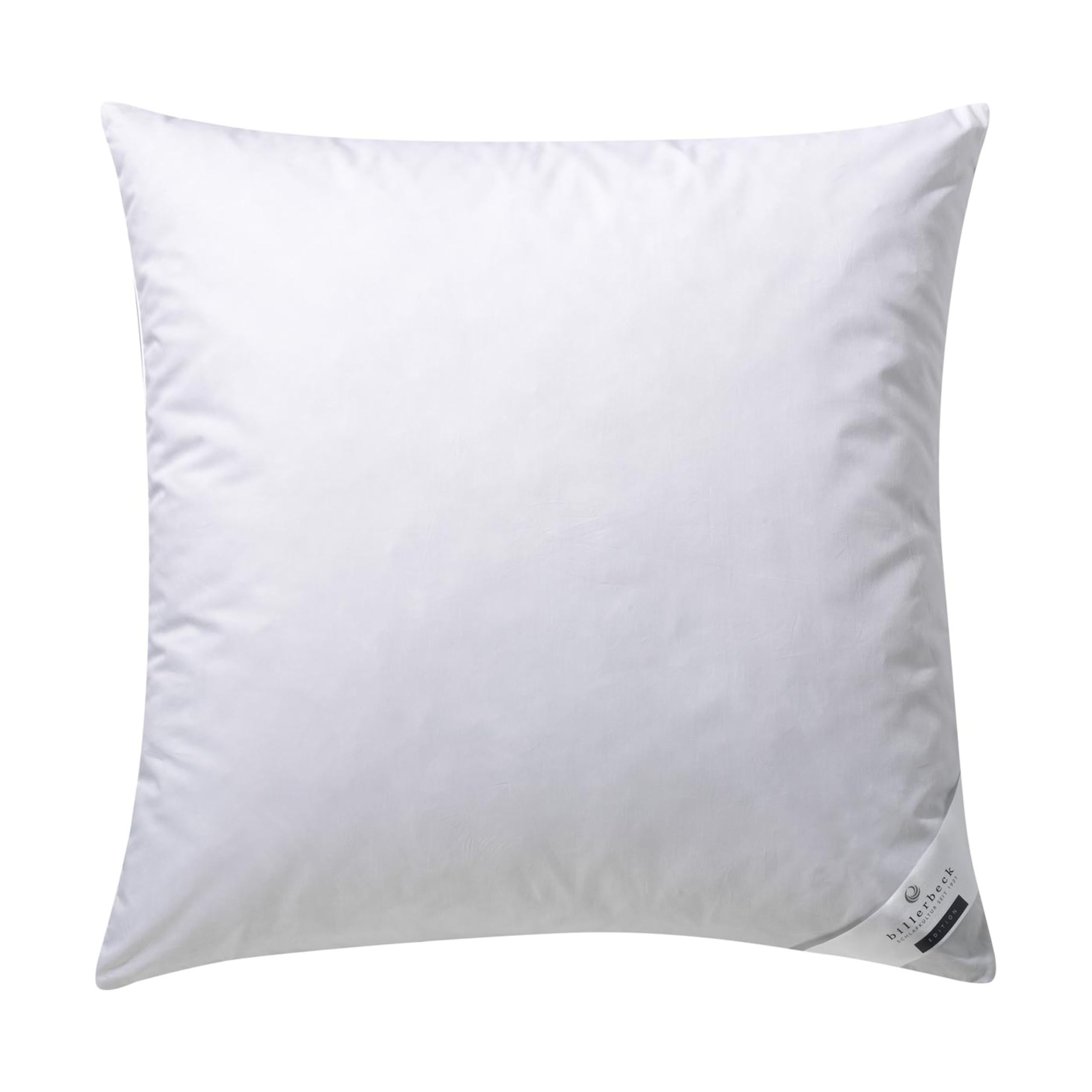 billerbeck-gabriela-30-kopfkissen-80x80-daunen-weich image 1