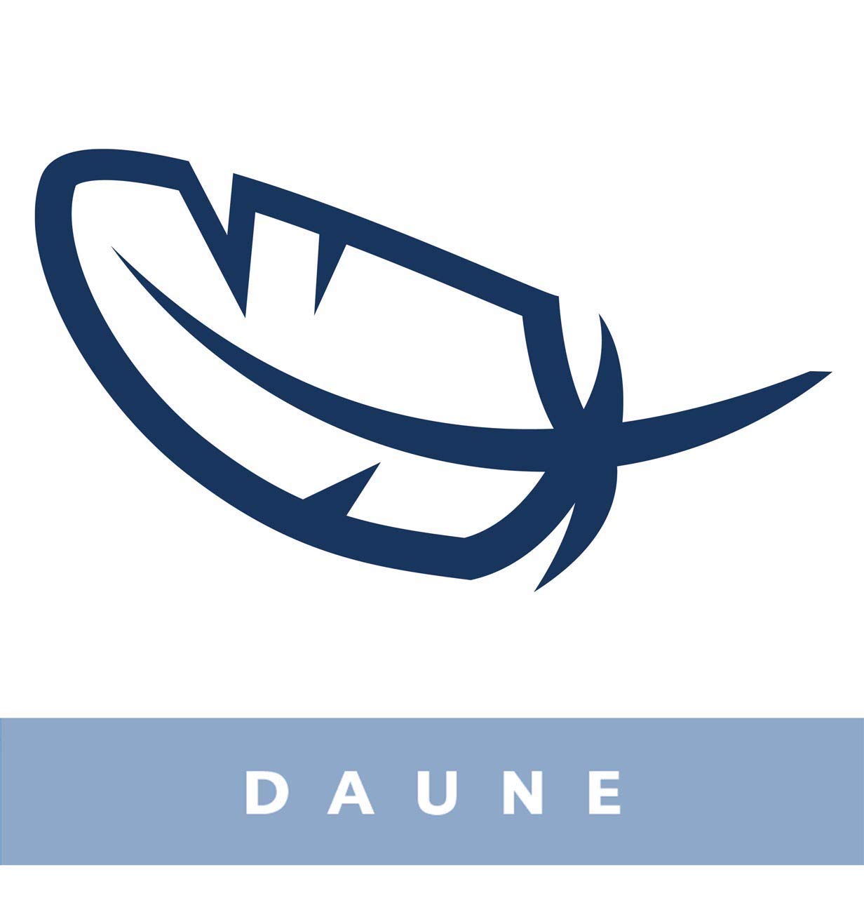 billerbeck-dorothea-90-daunendecke-135x200-mittel image 5