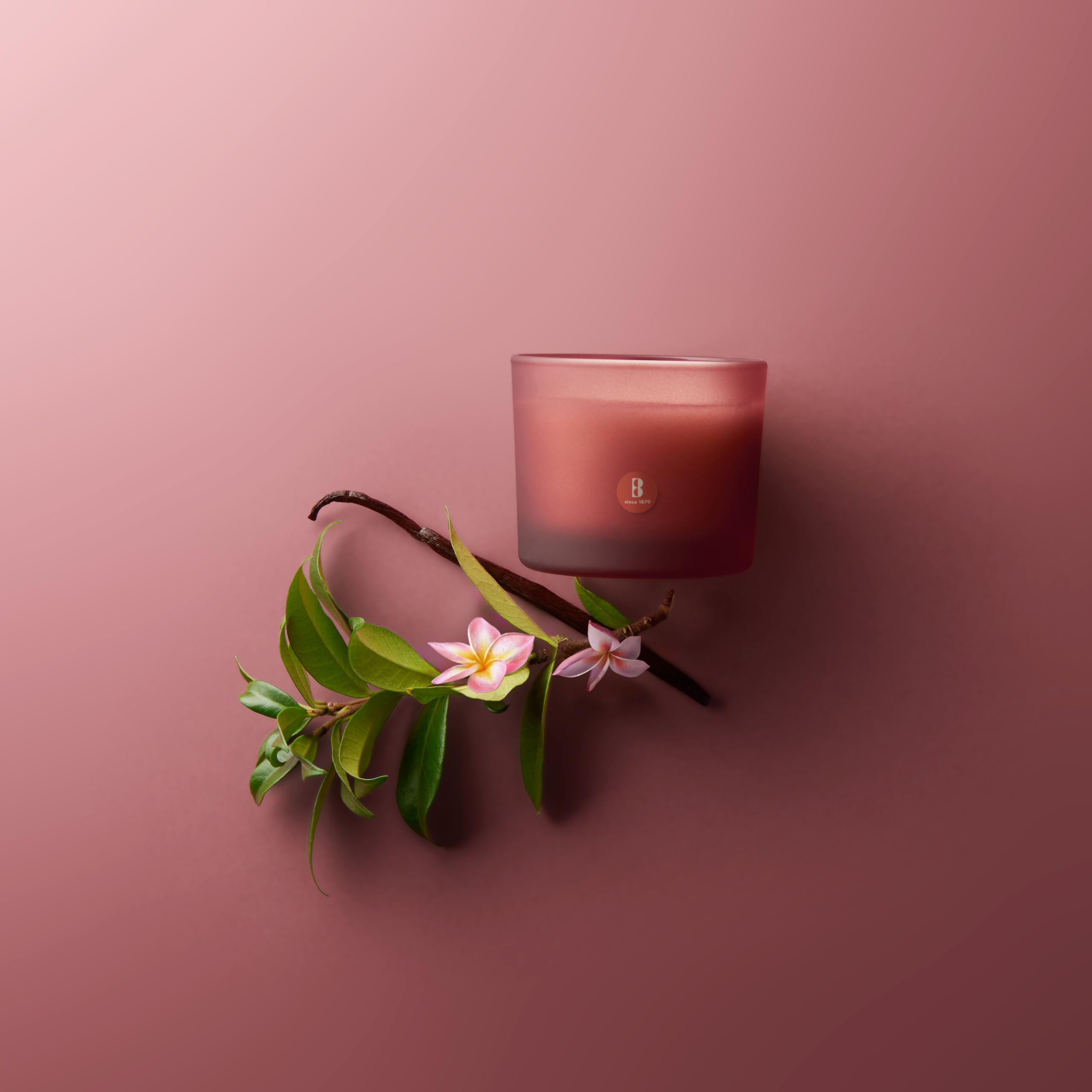 bolsius-true-joy-duftkerze-floral-blessings-bordeaux-21-std image 2