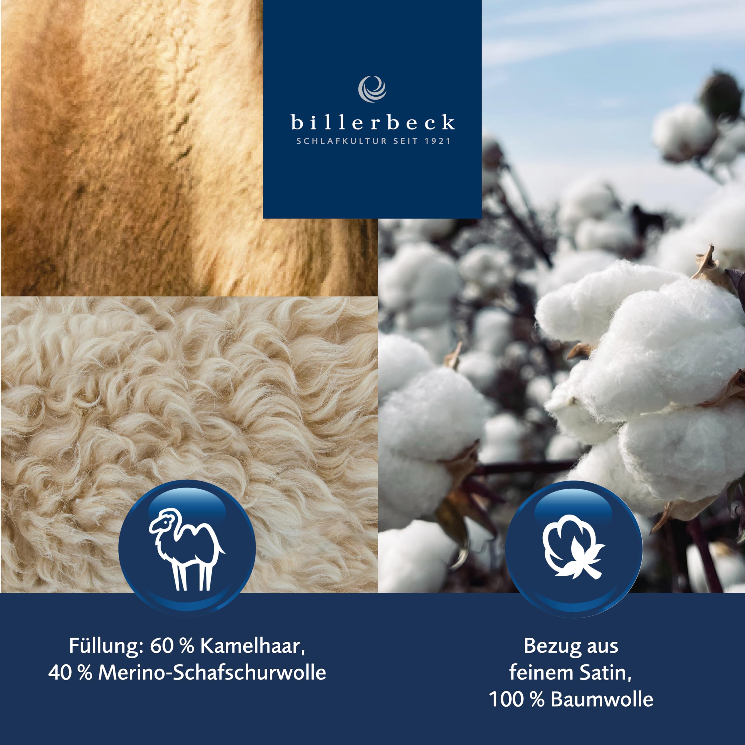 billerbeck-e48-kairo-bettdecke-155x220-kamelhaar-schurwolle-sommer image 2
