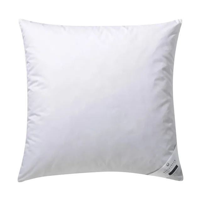 billerbeck-gabriela-30-kopfkissen-80x80-daunen-weich image 1