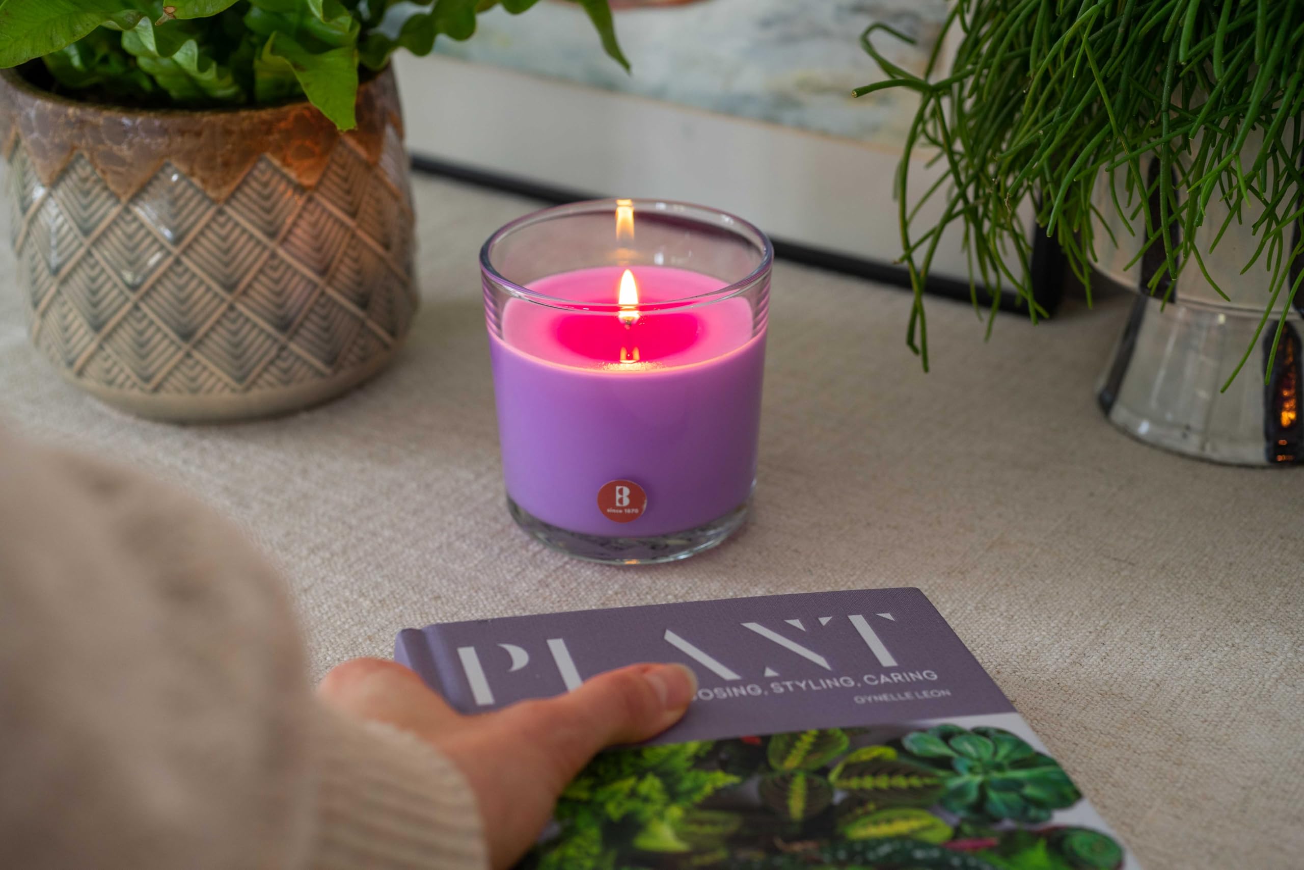 bolsius-true-scents-duftkerze-lavendel-6-st-ck-im-glas image 6